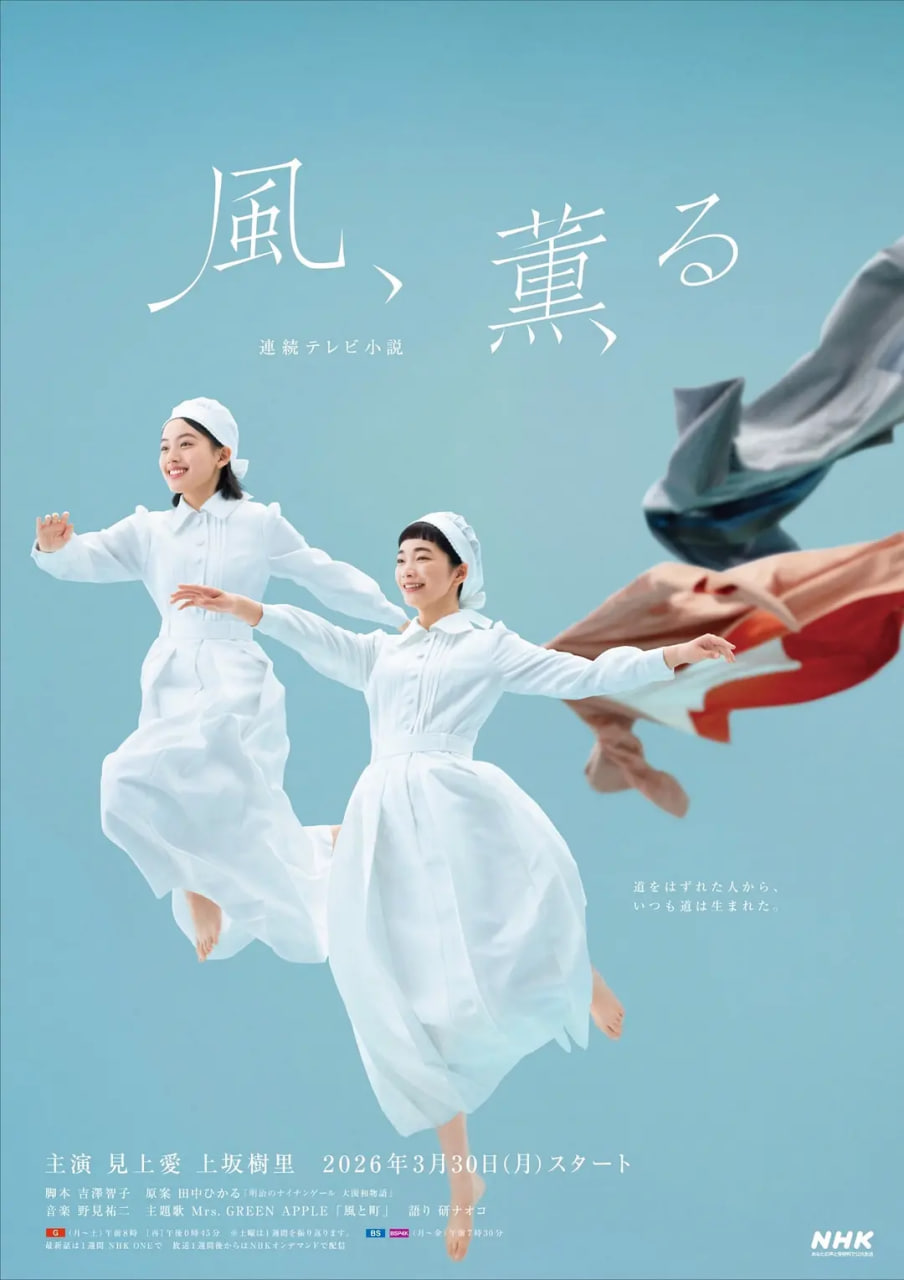 风，带有香气——那年花开月正圆电视剧全集