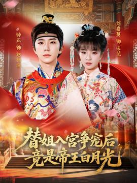 替姐入宫争宠后，竟是帝王白月光——非正式会谈第九季