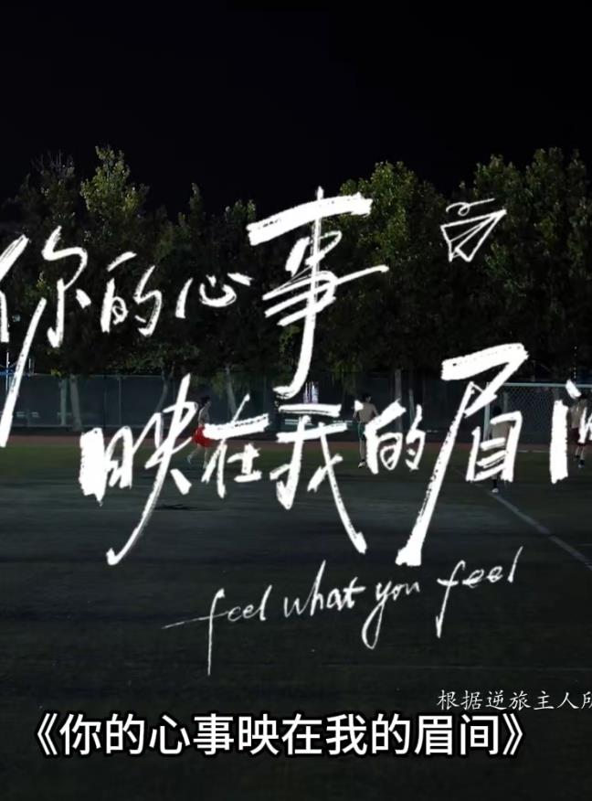 你的心事映在我的眉间——电摩车女5理论的提出者