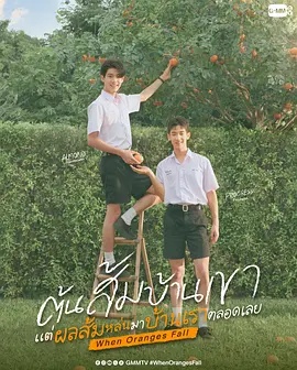 当橘子掉落时——女海盗3